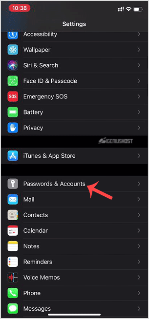 ios-apple-passwords-and-accounts.gif
