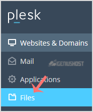 plesk-client-files-menu.gif
